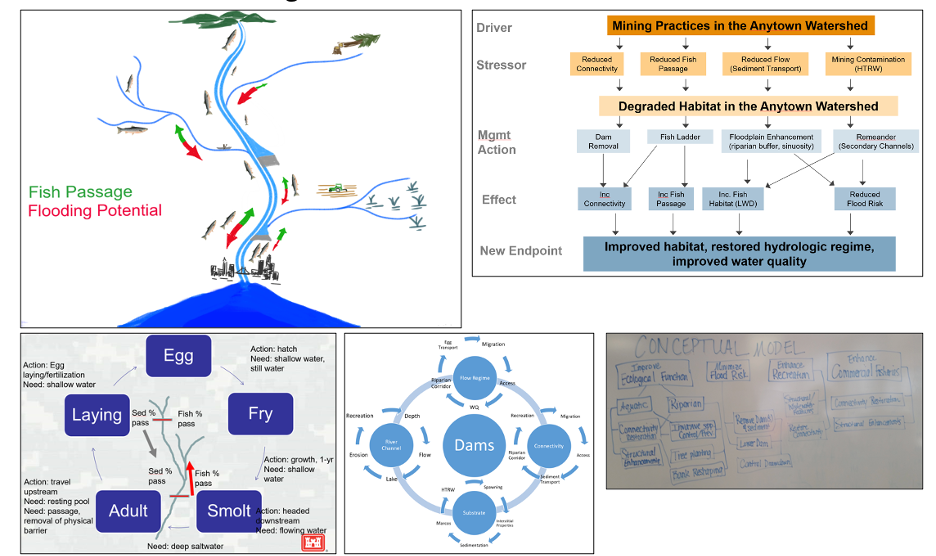 Five teams from USACE Ecosystem restoration classes in 2018