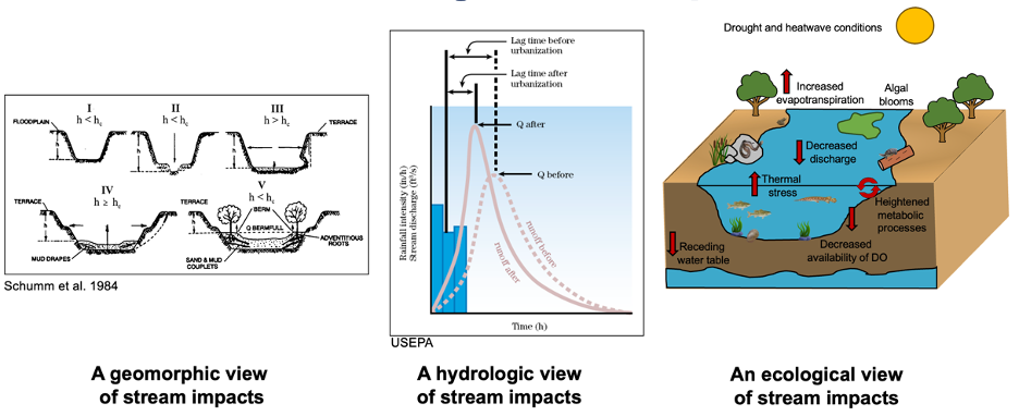 Three conceptual models of stream impacts