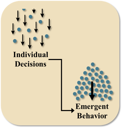 The decision of numerous individual agents can result in the emergence of phenomena at the population, community, or landscape scale.