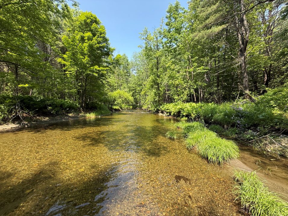 Stream image 1