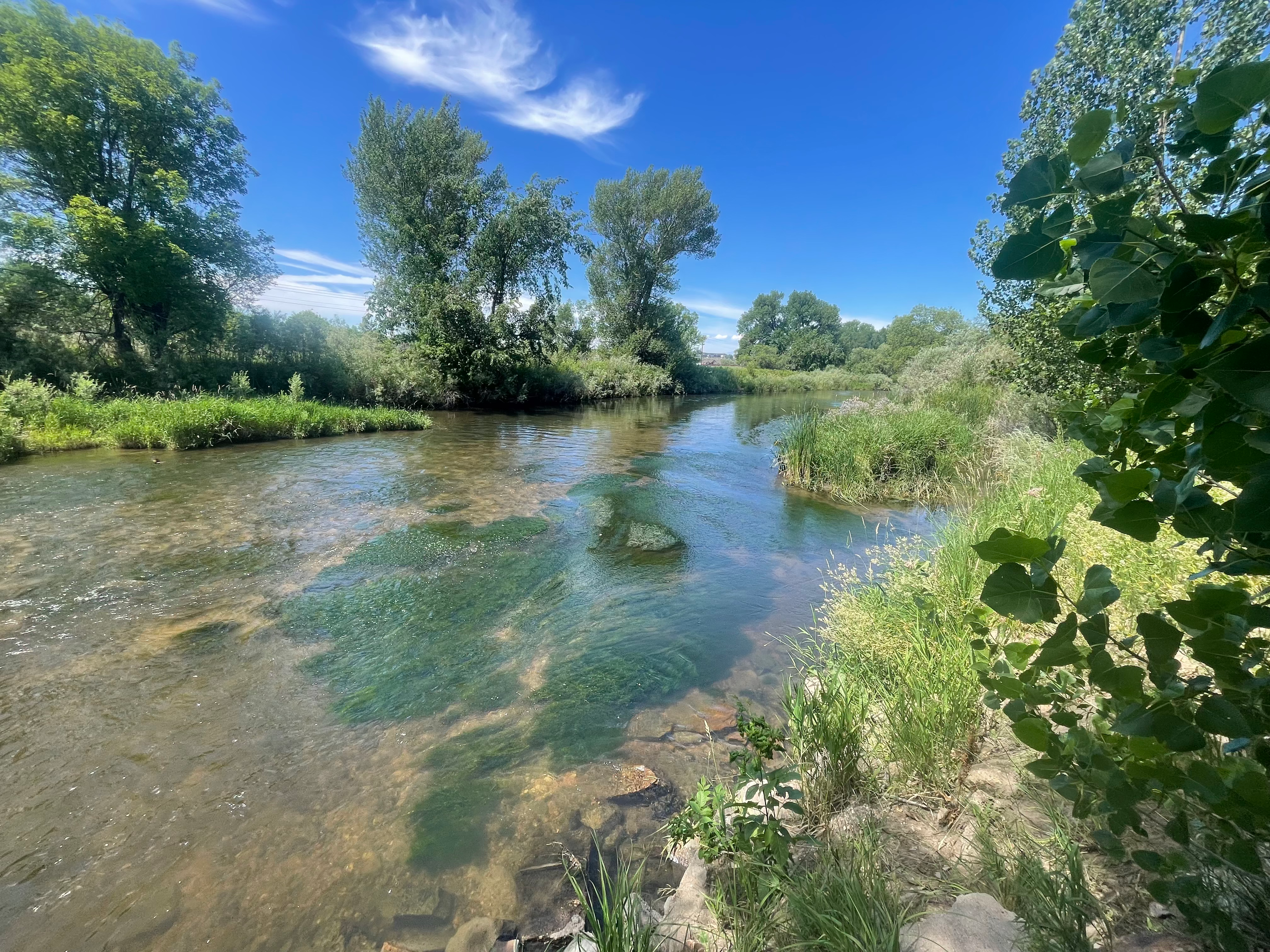 Stream image 2