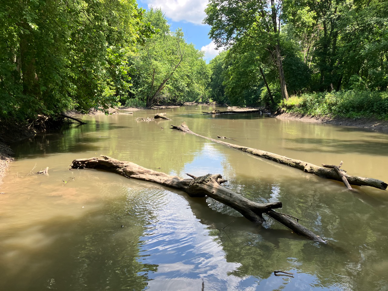 Stream image 5
