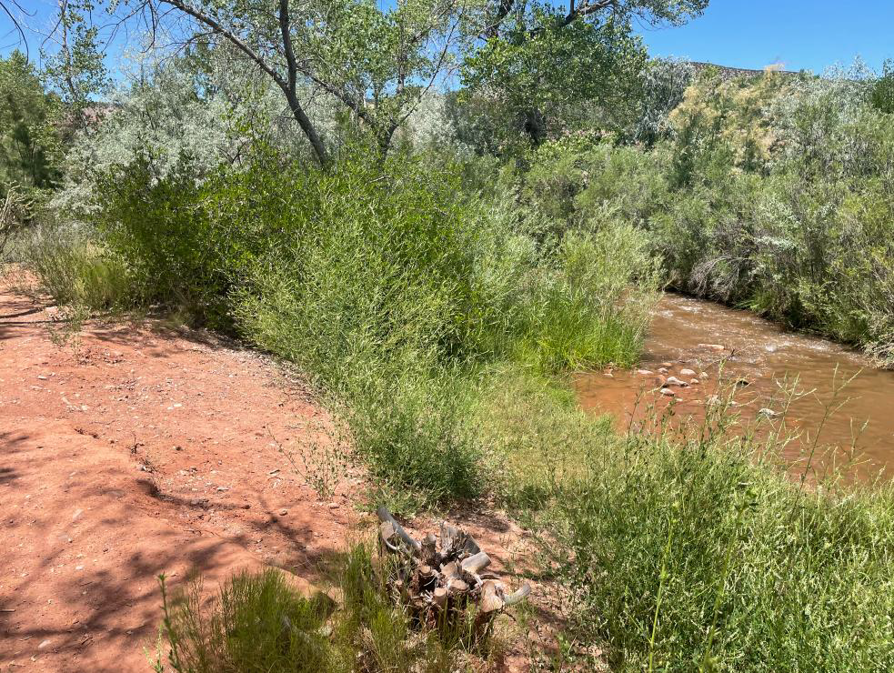Stream image 7